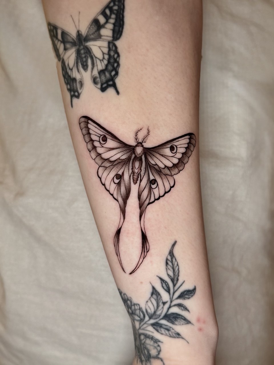Tattoo work by Ivy at Unscripted Ink NYC — Fine Line · Subtle Detail · Small Scale — portfolio image 4